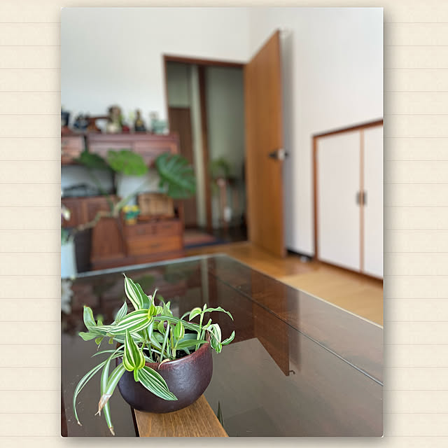 buchiさんの実例写真