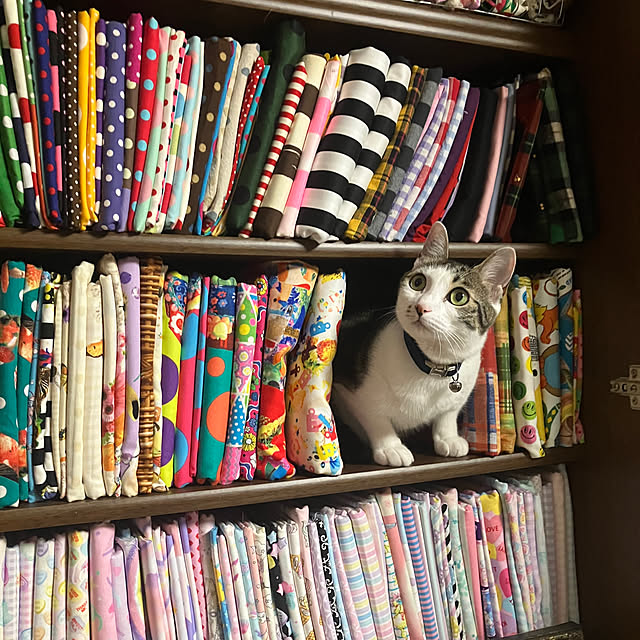 AMEIROさんの実例写真