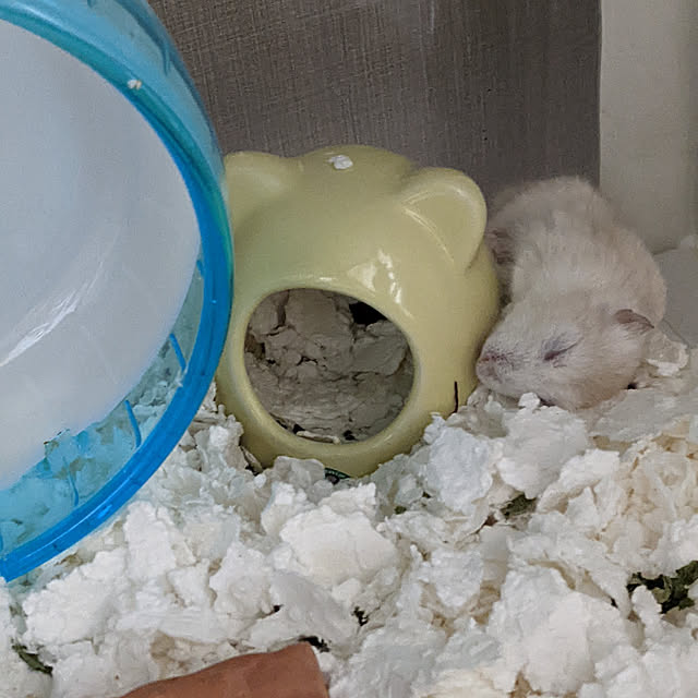 uguuuさんの実例写真