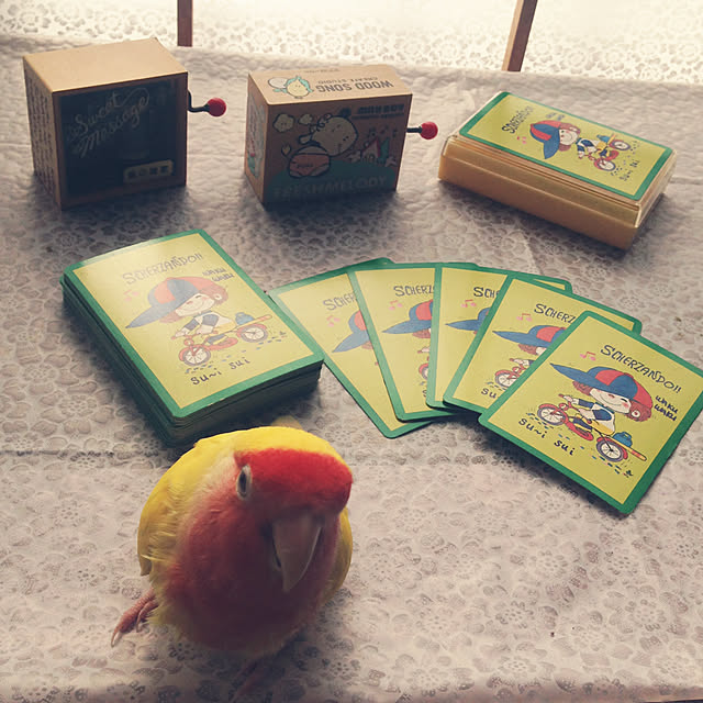 aoinokimiさんの実例写真
