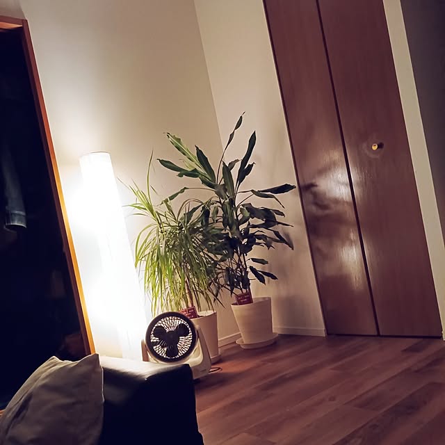 ruantaiさんの実例写真