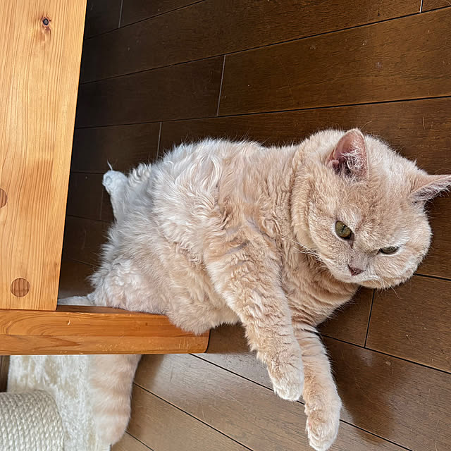 naokoさんの部屋