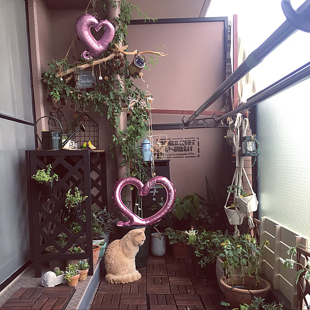 naokoさんの実例写真