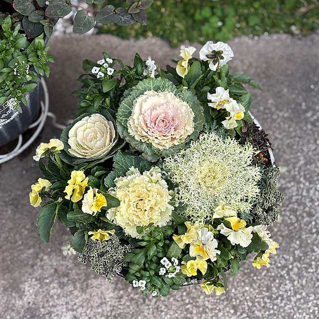 maayaさんの部屋