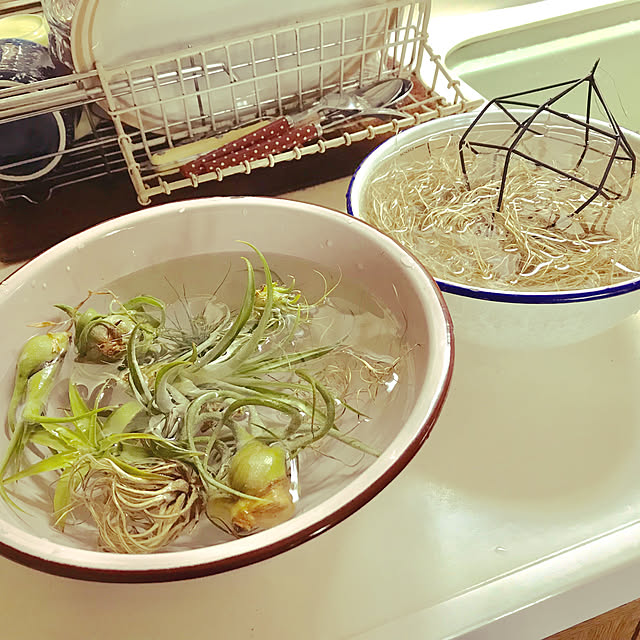 rikomiさんの実例写真