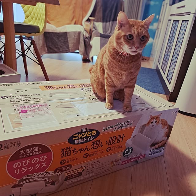 kiyohima229さんの部屋