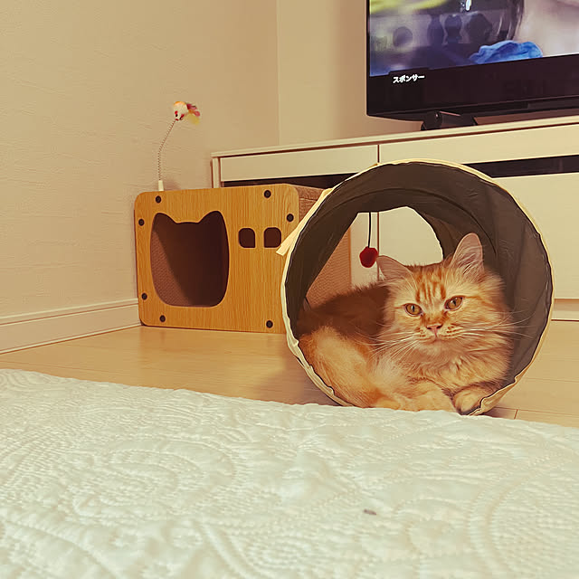 mi_yuさんの部屋