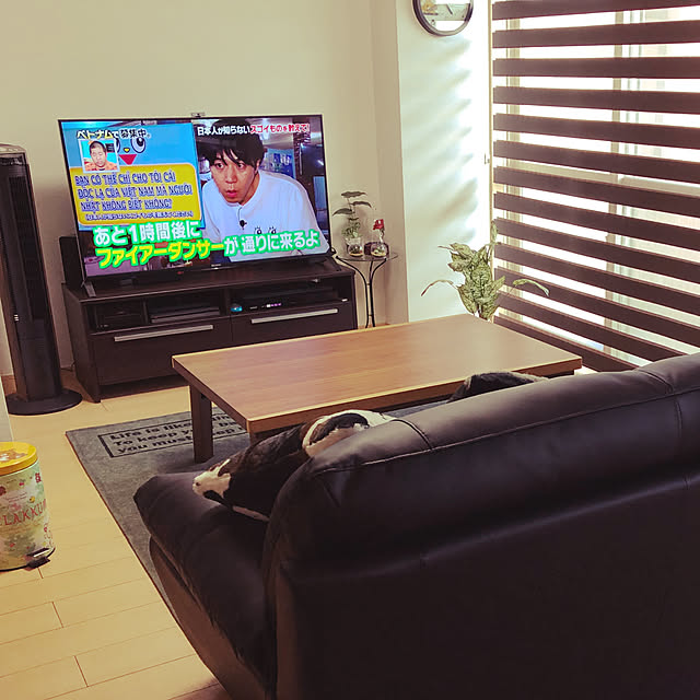 Minamiさんの実例写真