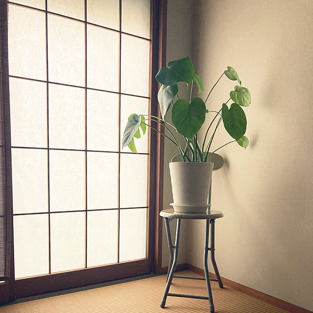 mamimamiさんの部屋