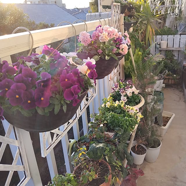 yuuu7712さんの部屋