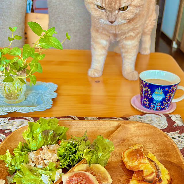 naokoさんの実例写真