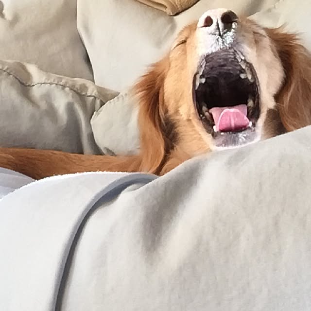 sakuさんの実例写真