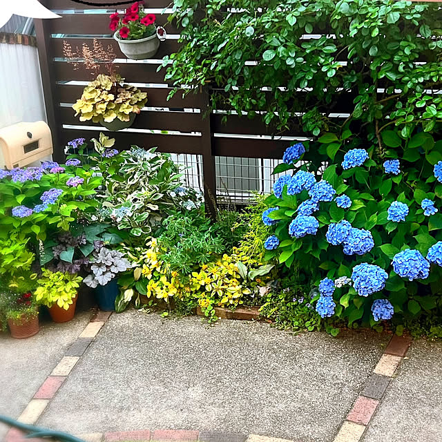 hinamamaさんの部屋