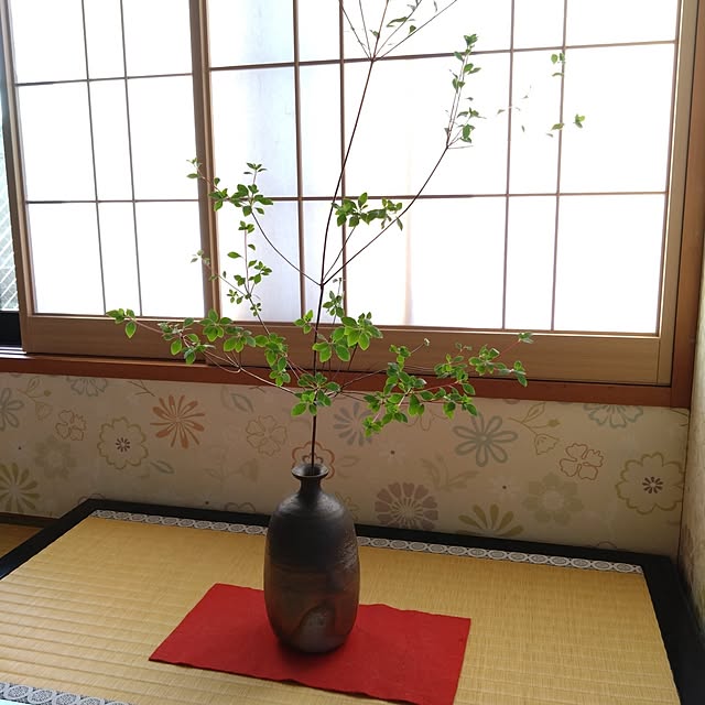 kakkaさんの実例写真