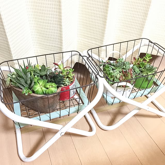 Aliceさんの実例写真