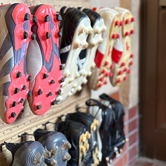 zinさんの実例写真