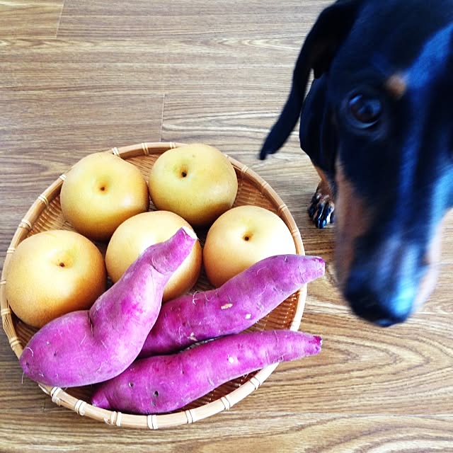 bonamiさんの実例写真