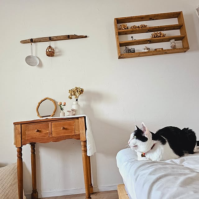 harukaさんの部屋