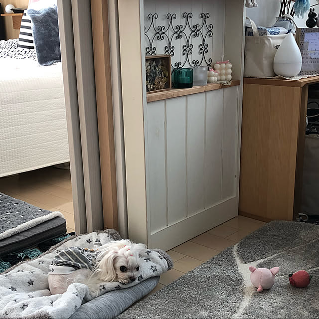 loliontoaliceveさんの実例写真