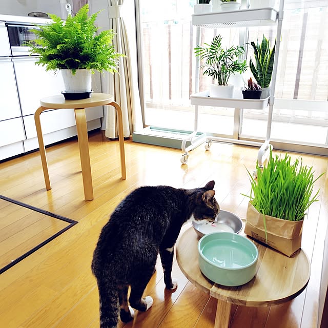 nachiさんの実例写真