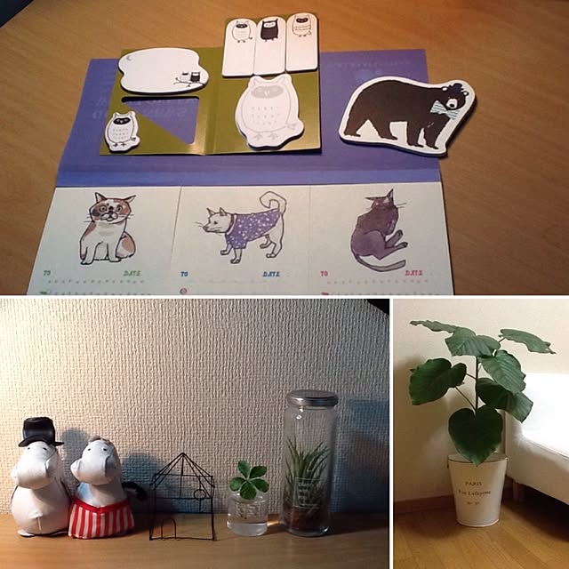 Mikaさんの実例写真