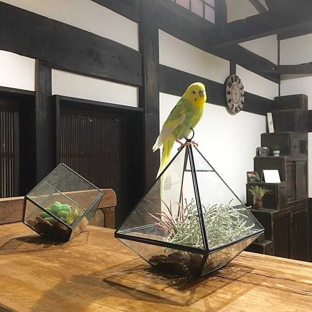 yuki.ni_tsuさんの実例写真