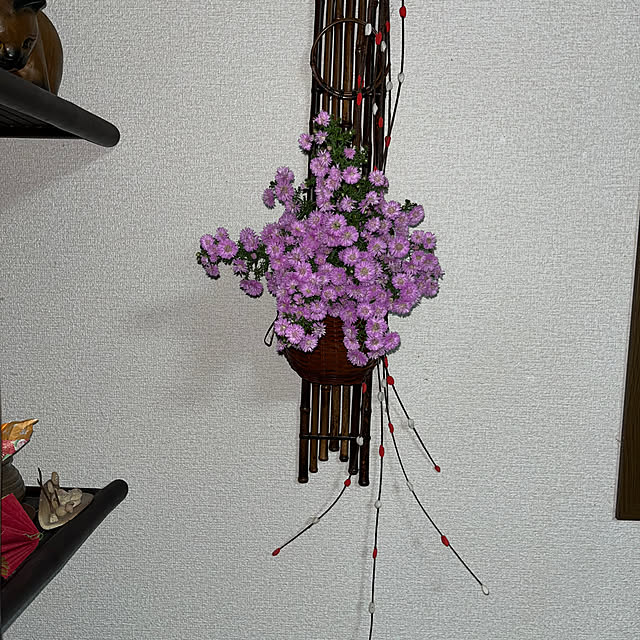 ritsukoさんの部屋