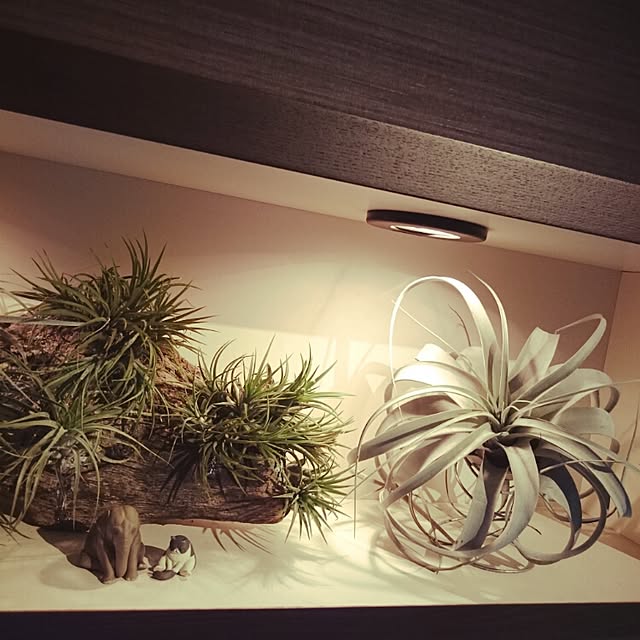 Rieさんの実例写真