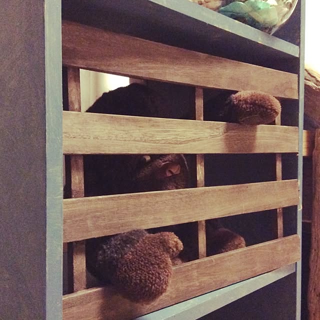 the-genさんの実例写真