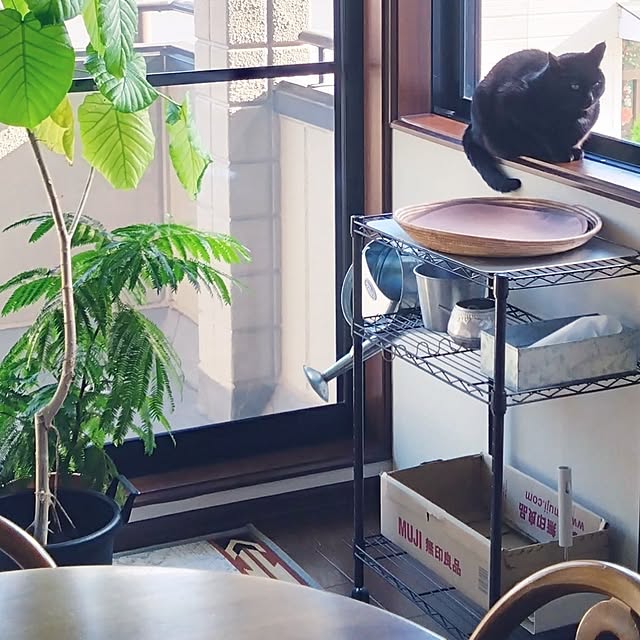 Kさんの部屋