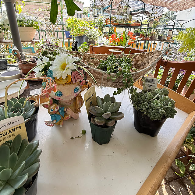 Aqettyさんの部屋