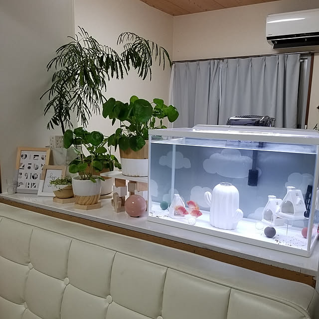 ...t_m_eee...さんの実例写真