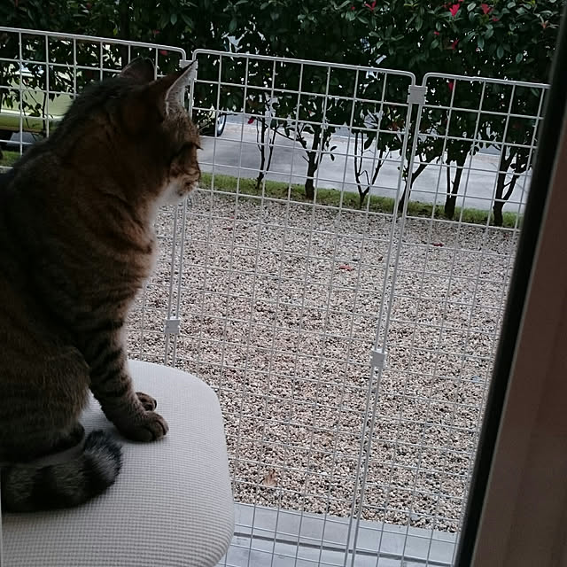 lilyさんの実例写真