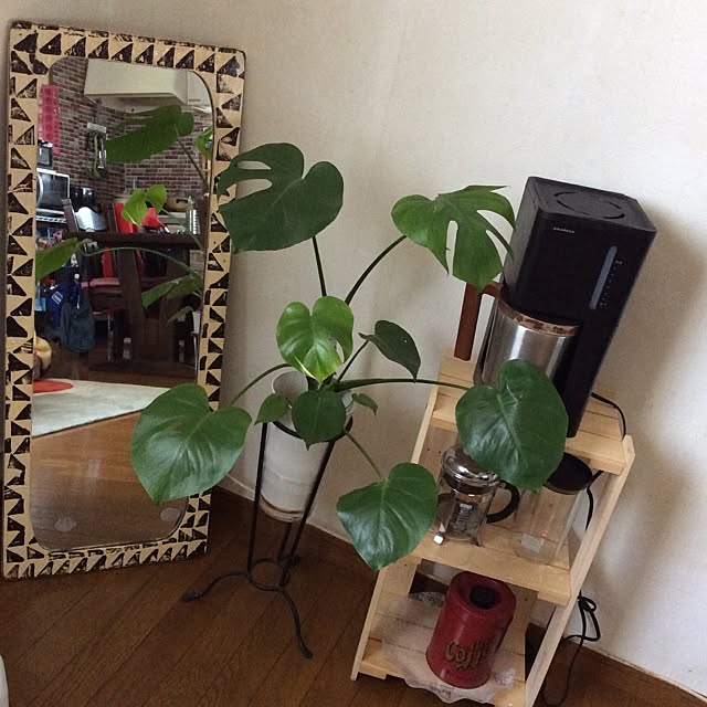 milkさんの実例写真