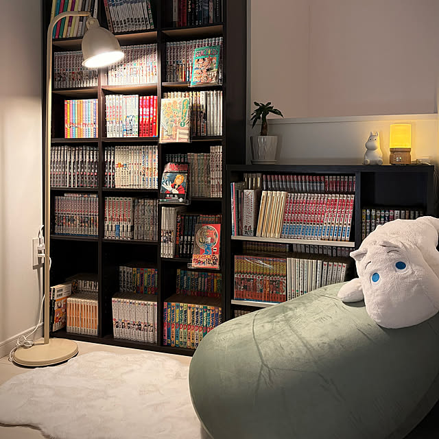 debunyan19さんの実例写真