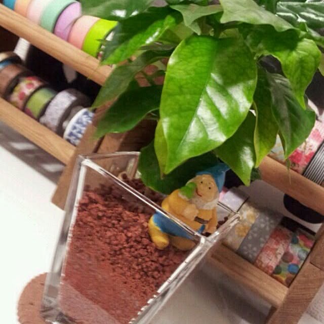 Mahoさんの実例写真