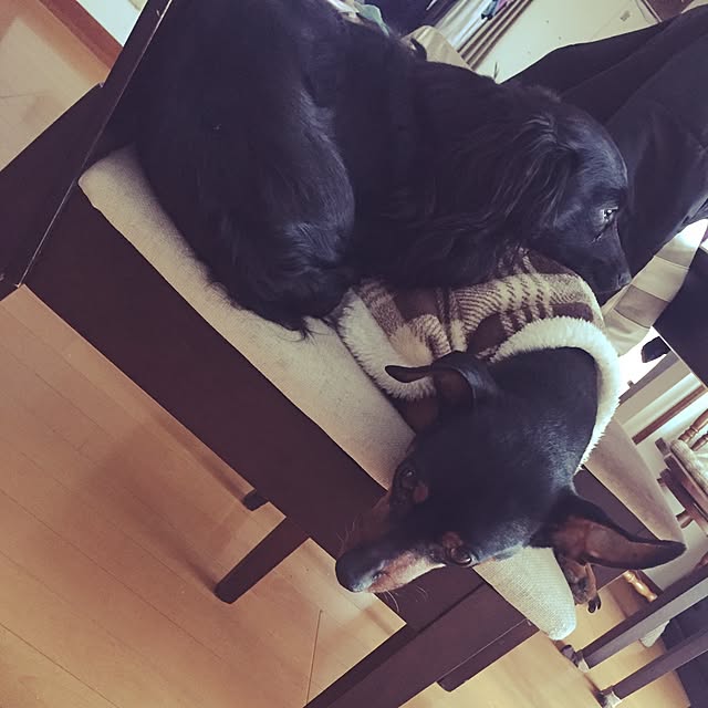 benさんの実例写真
