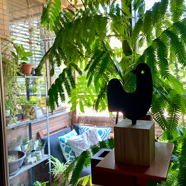 kan2さんの部屋