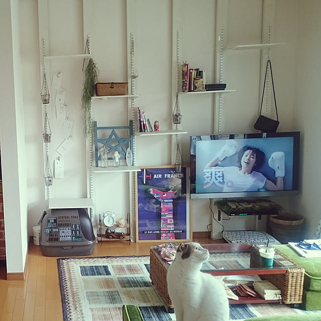 xcxさんの実例写真