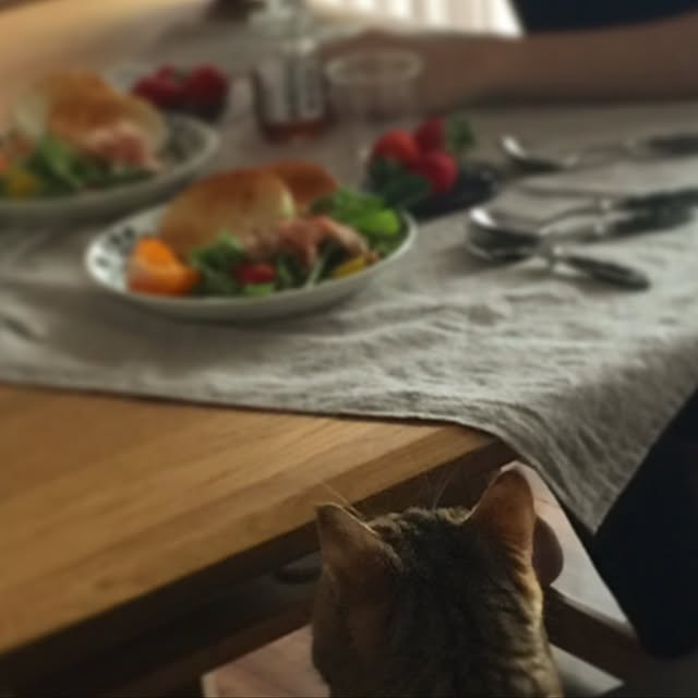 meloさんの実例写真