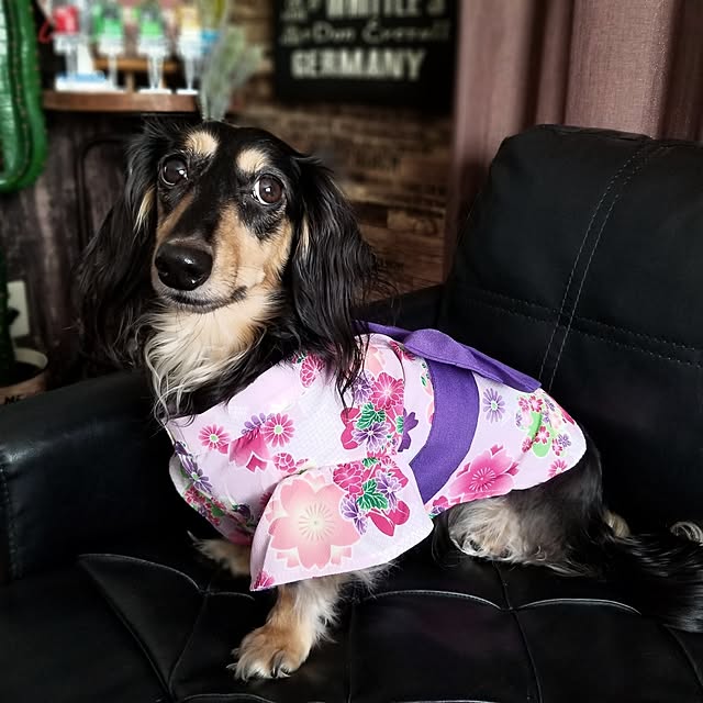 momozouさんの部屋