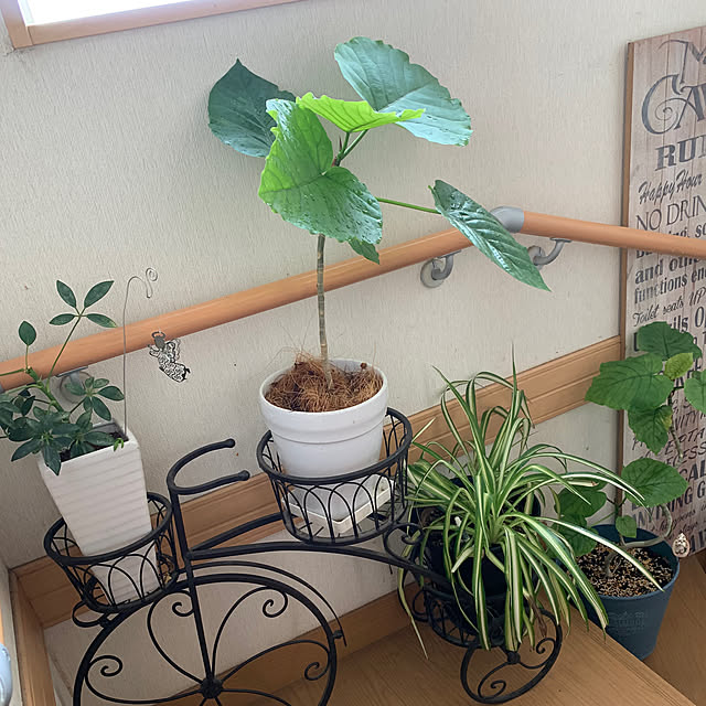 Fumiさんの部屋