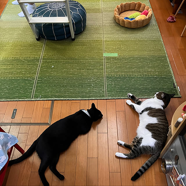 jijiさんの実例写真