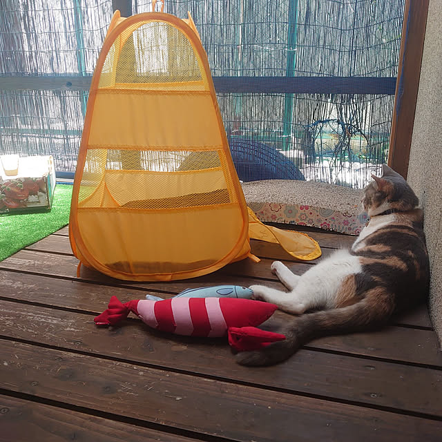 fukuさんの実例写真
