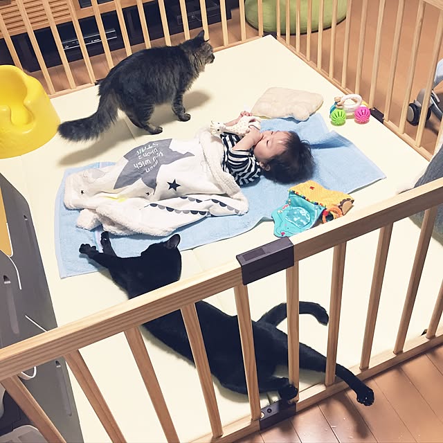 yuki0511さんの実例写真