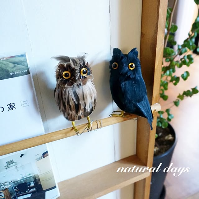 Suさんの実例写真