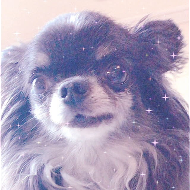 jamberryさんの実例写真