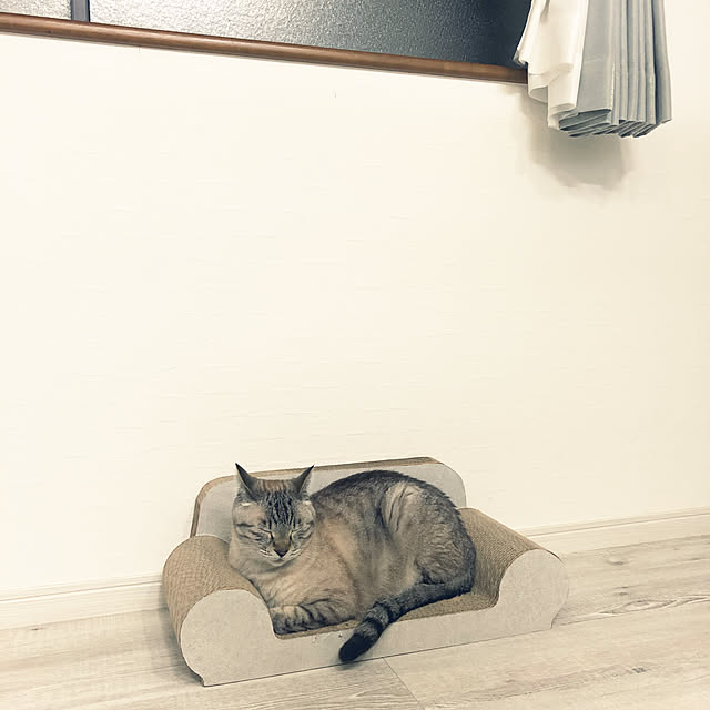 mieさんの実例写真
