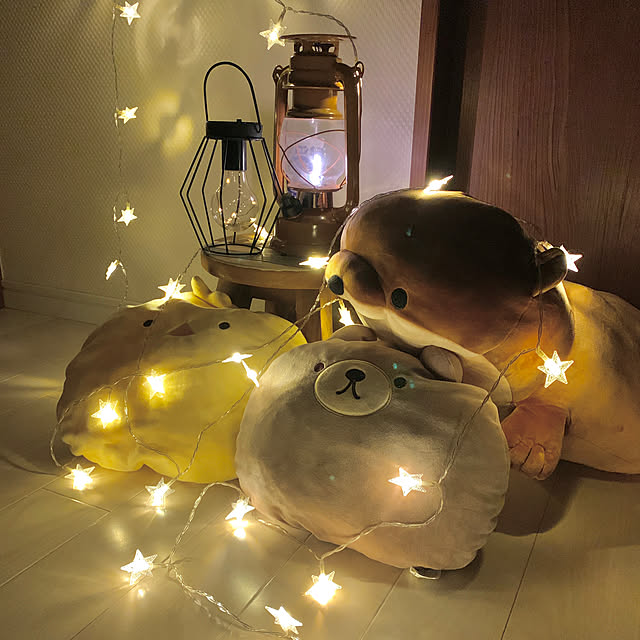 koko_hikaさんの実例写真