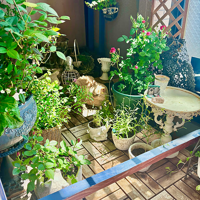 naokoさんの部屋